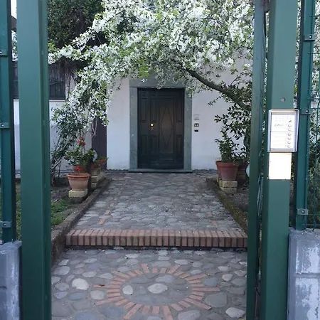 B&B Camelie